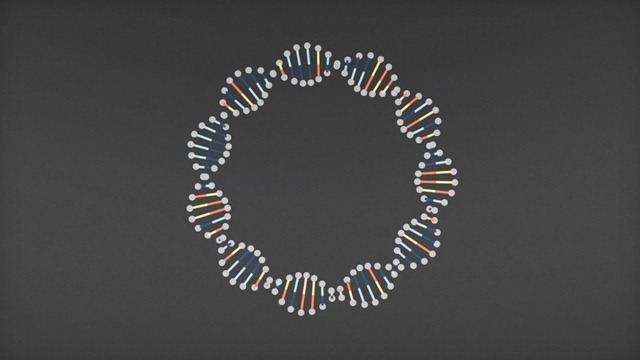 Adn Circulaire; circular dna